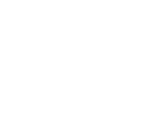 Made in the USA