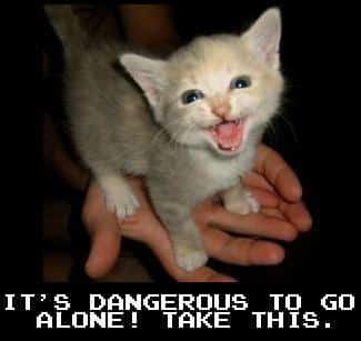 Cat Meme: It's dangerous to go alone! Take this.