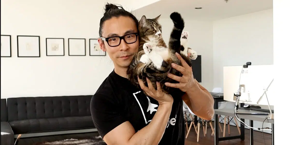 The Currency of Cat Memes Blog Post Cover