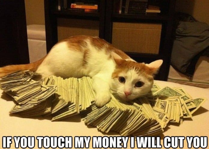 Cat Meme: If you touch my money I will cut you.