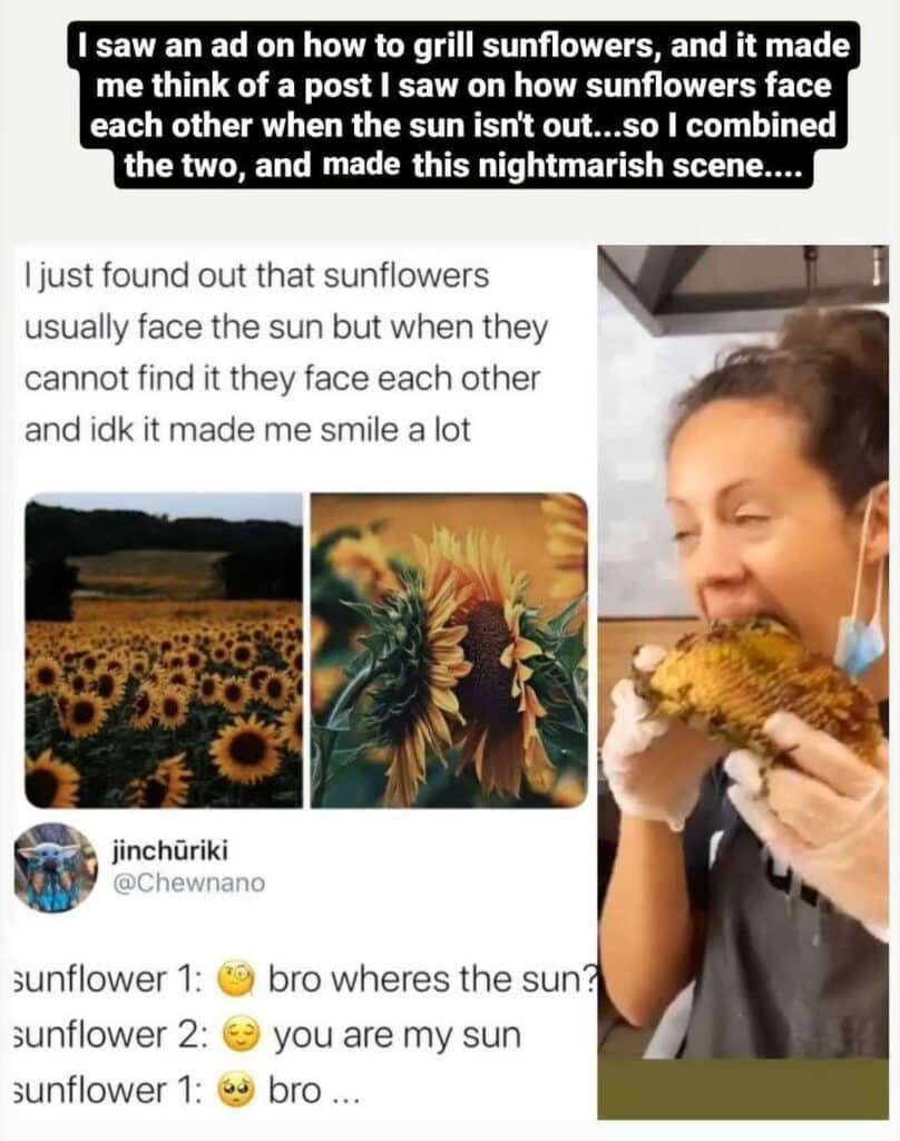 I saw an ad on how to grill sunflowers, and it made me think of a post I saw on how sunflowers face each other when the sun isn't out...so I combined the two, and made this nightmarish scene.