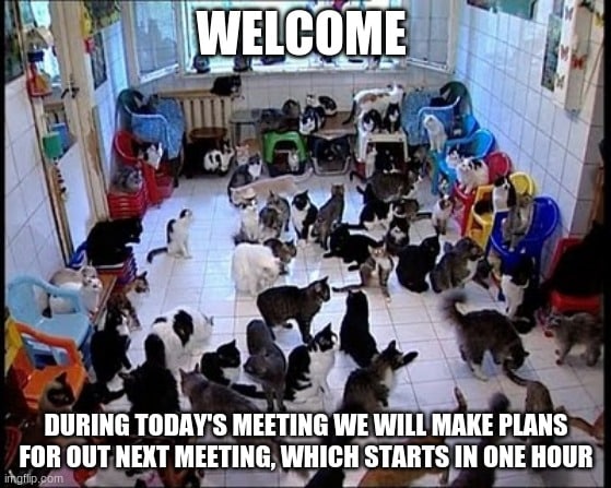 Cat meme showing a room full of cats sitting around in chairs and on the floor. Caption reads: WELCOME During today's meeting we will make plans for our next meeting, which starts in one hour.