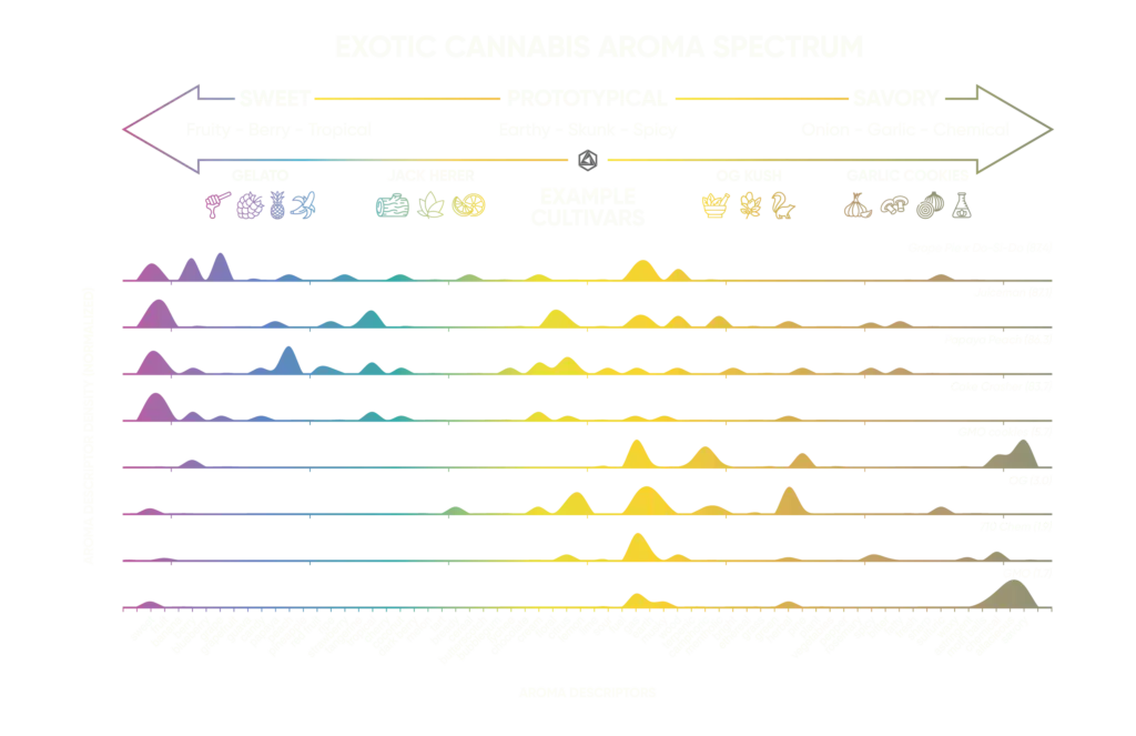 Abstrax'x Exotic Cannabis Aroma Spectrum